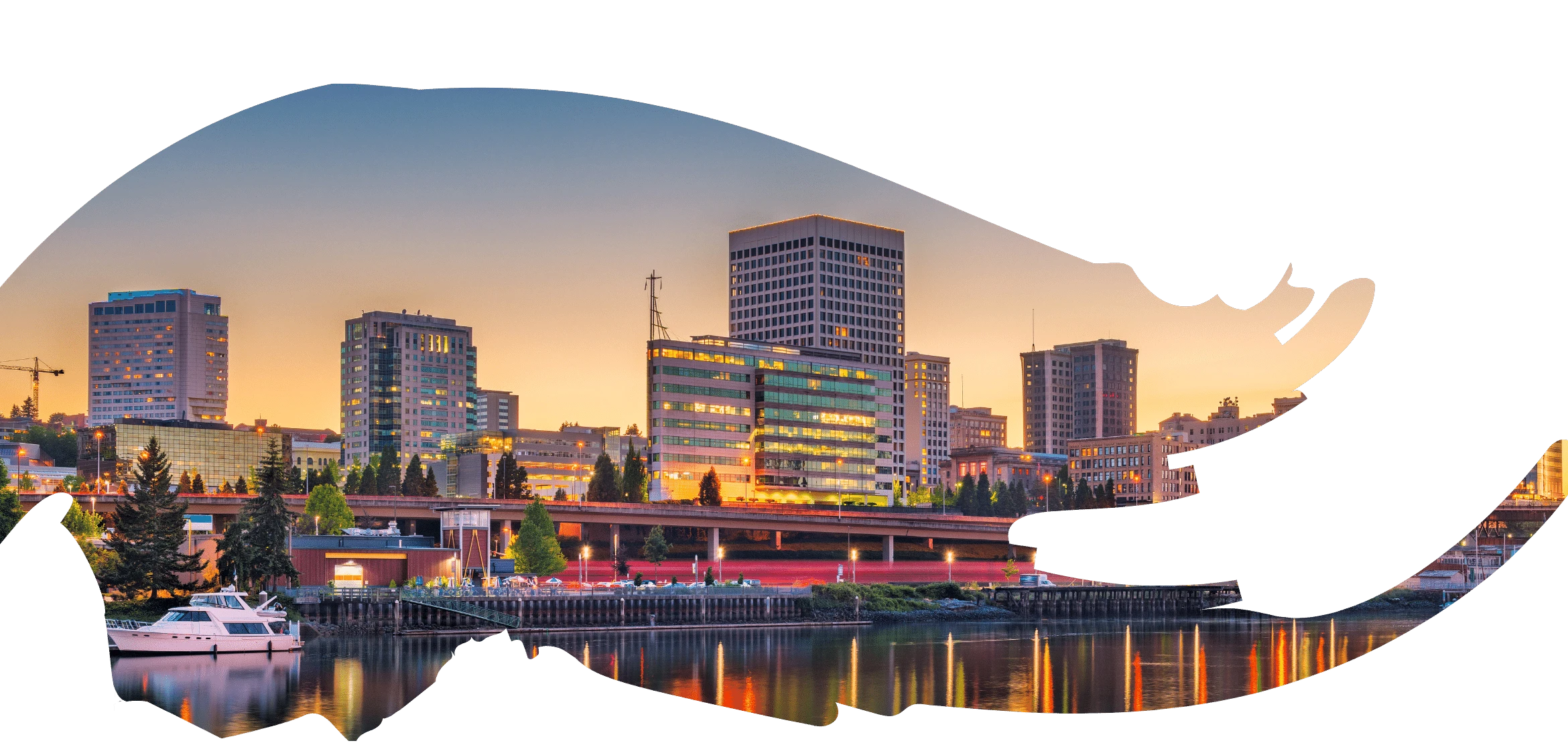 Pacific Northwest and Mount Rainier Views